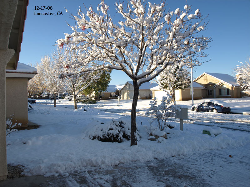 LancasterSnow12-17-08