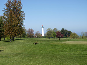 Lighthouse2