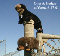 Hedgie & Otter