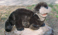 Otter