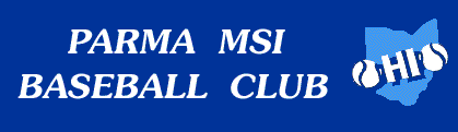 Parma MSI logo